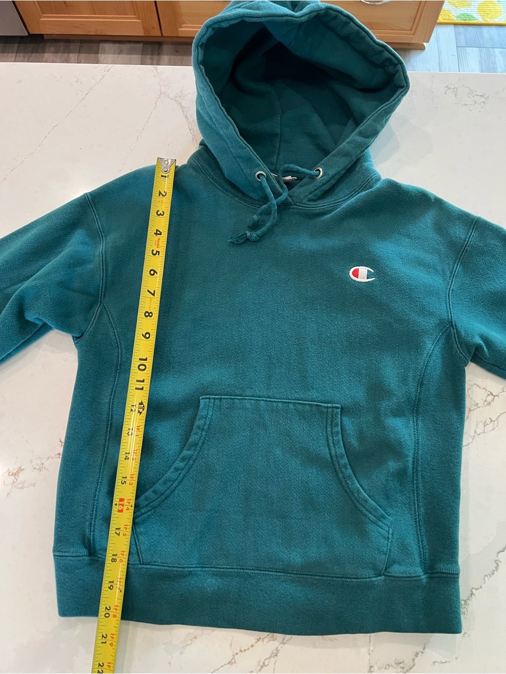 Champion Teal Kids Pullover Hoodie with Logo